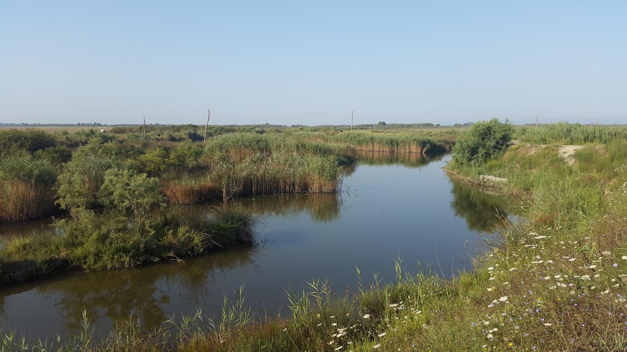 Villa "Green Paradise" Divjake Εξωτερικό φωτογραφία